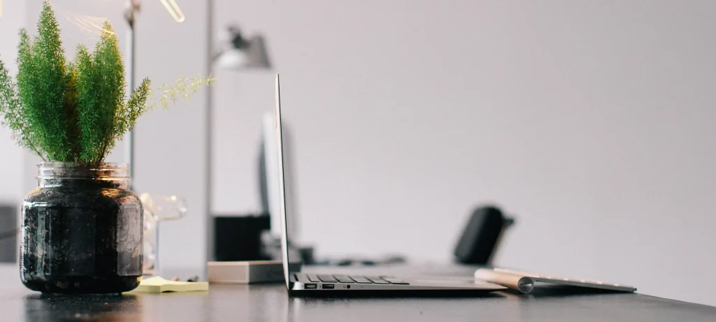 close up of desk with laptop and pot plant