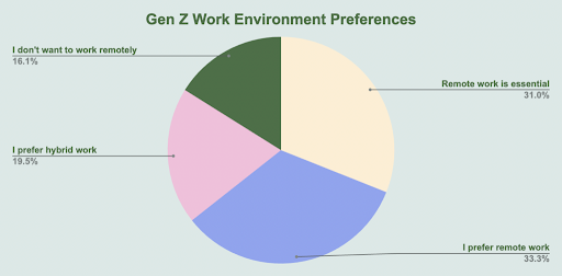 pie chart showing gen z work environment preferences
