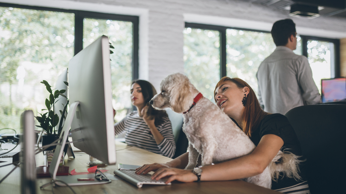Pets are family, and workers want a hybrid working lifestyle that accommodates their needs. 