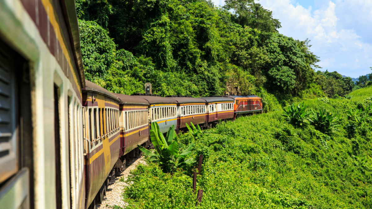 Train traveling in lush country